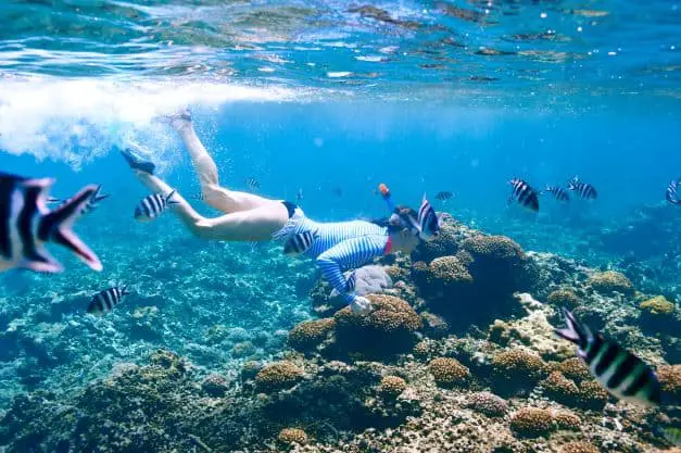 Snorkeling in cancun