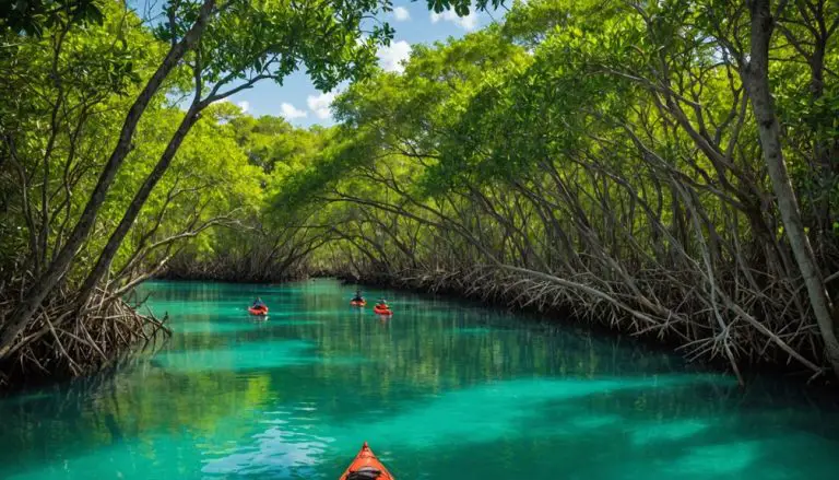 Exploring Cancun’s Mangroves: Eco-Adventures In The City